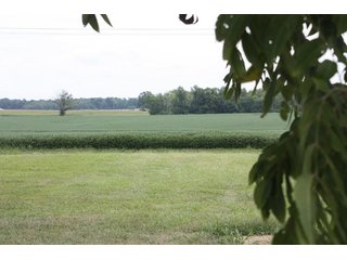 Property photo 58 - LAND AUCTION - 1,193+/- ACRES IN 14 TRACTS IN PIKE & GIBSON COUNTY, INDIANA